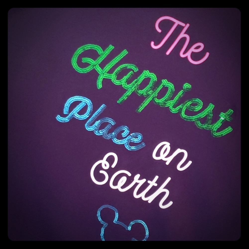 The Happiest Place in Earth ladies top sz L